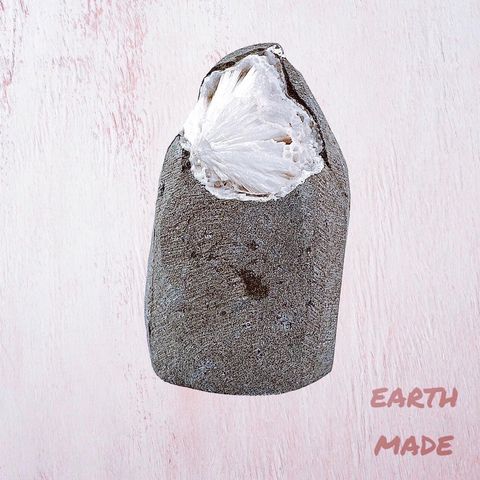 LINE_ALBUM_2024222_240222_49