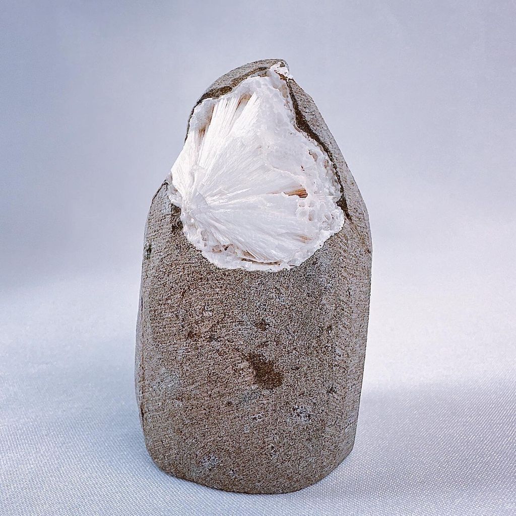 LINE_ALBUM_2024222_240222_48