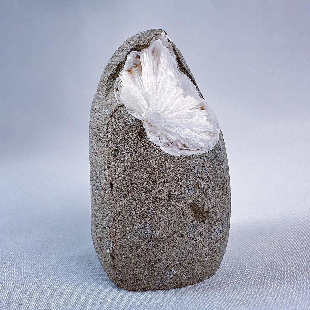 LINE_ALBUM_2024222_240222_47