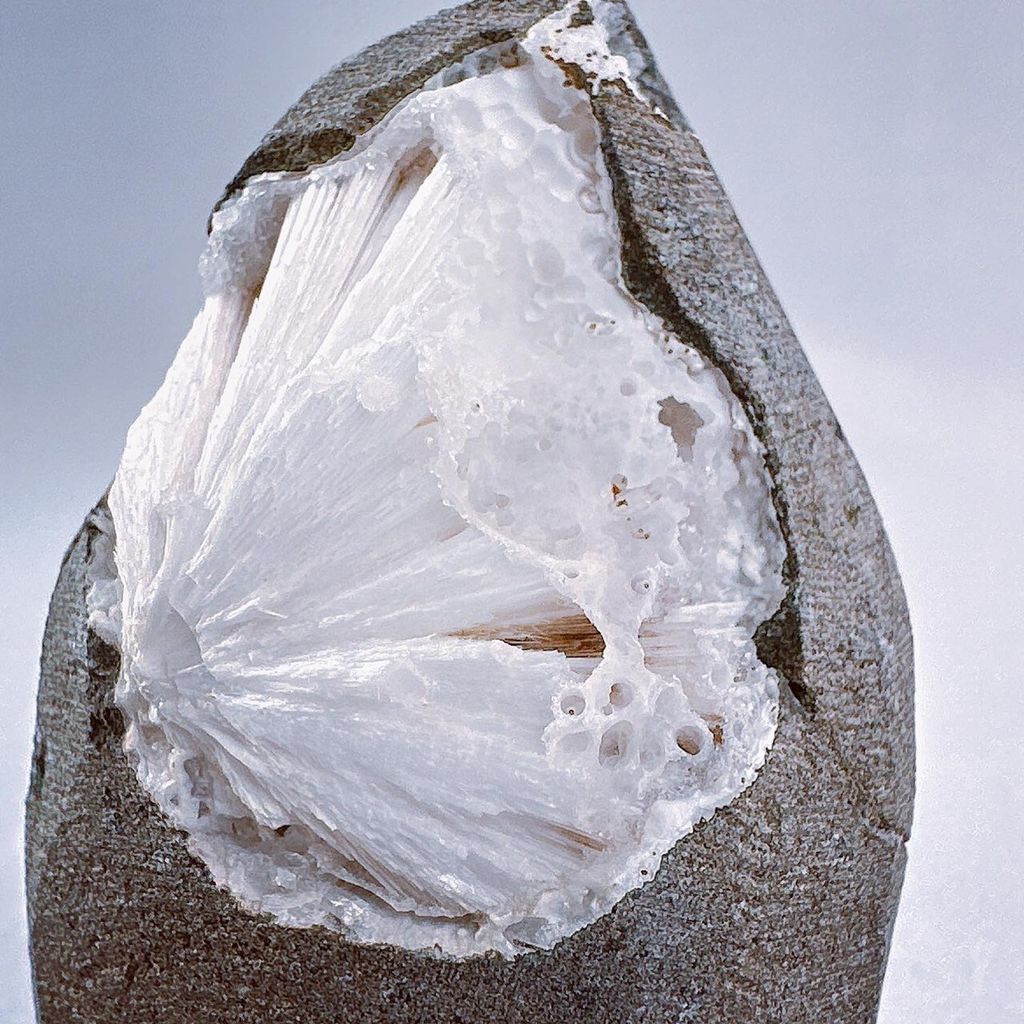 LINE_ALBUM_2024222_240222_45