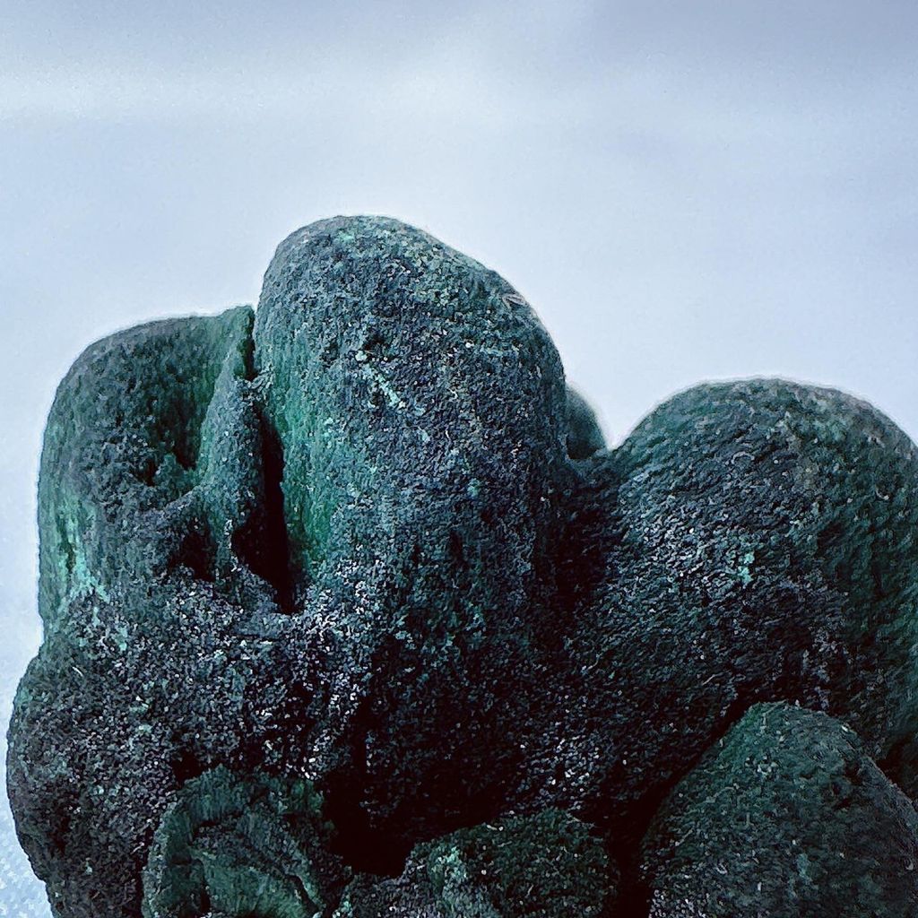 LINE_ALBUM_2024223_240223_16