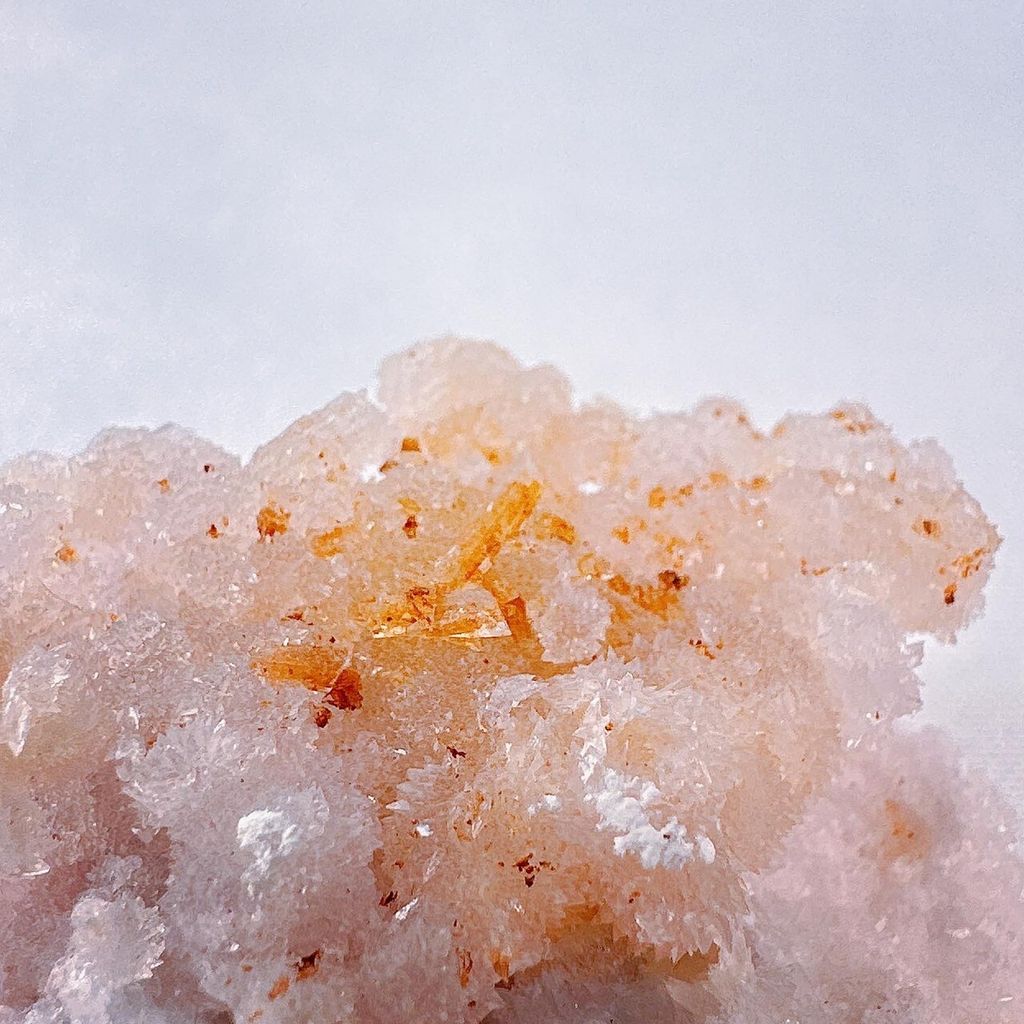 LINE_ALBUM_2024226_240226_8