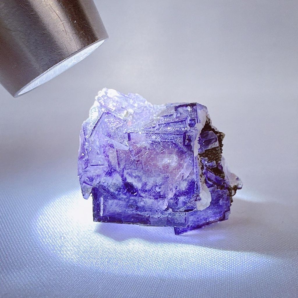 LINE_ALBUM_2024226_240226_1