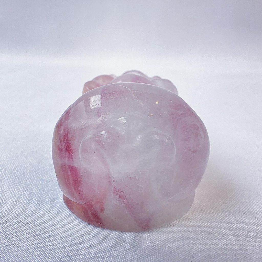 LINE_ALBUM_2024226_240226_14