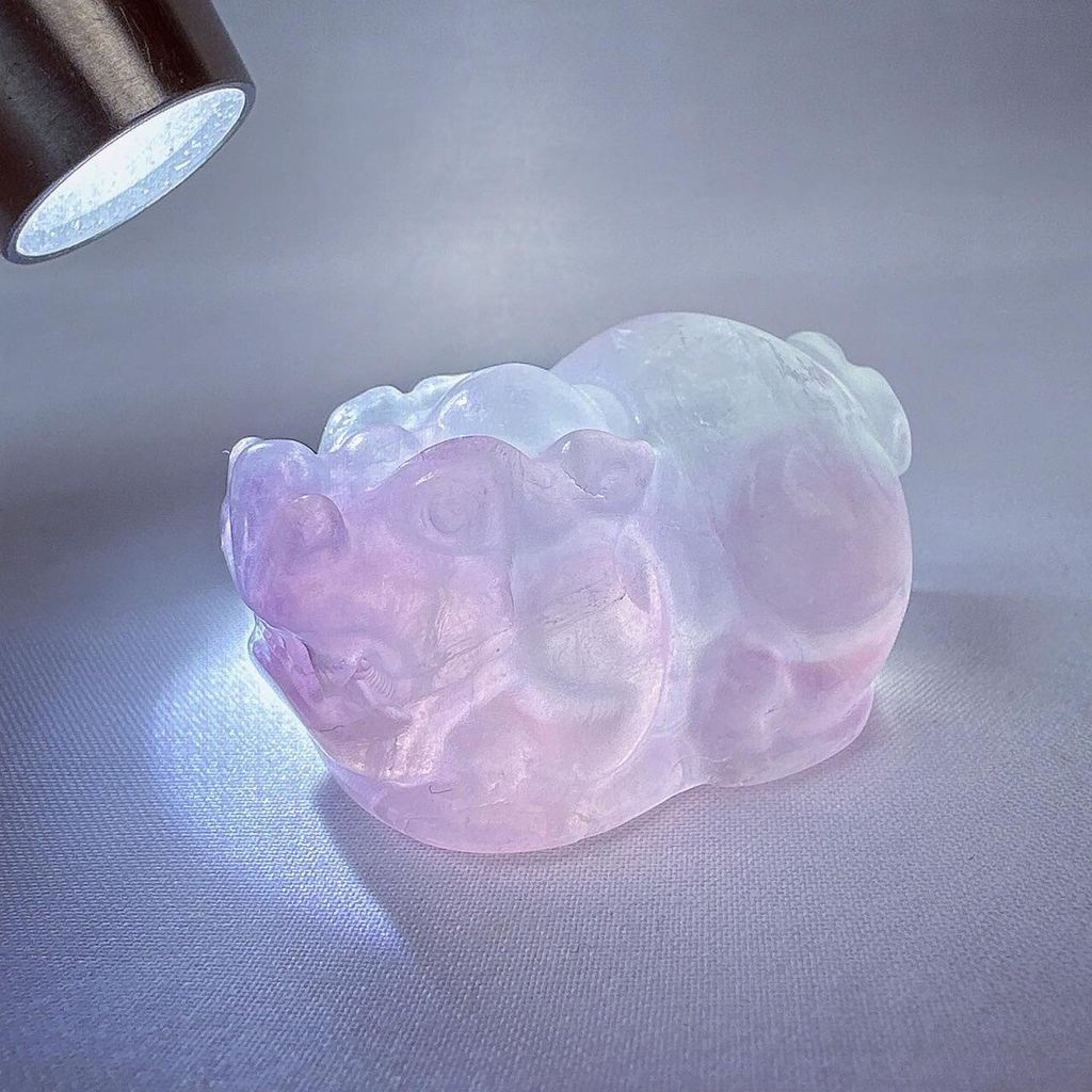 LINE_ALBUM_2024226_240226_11