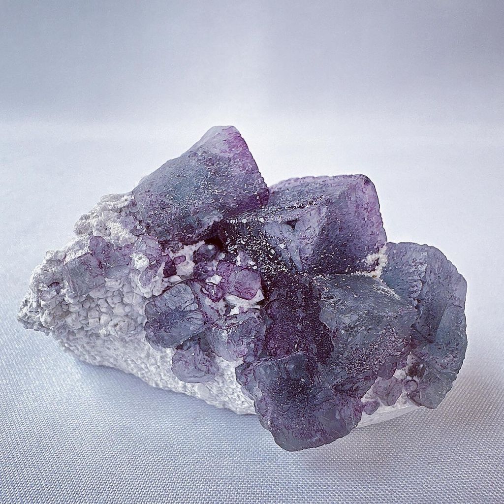 LINE_ALBUM_2024226 _1_240226_4