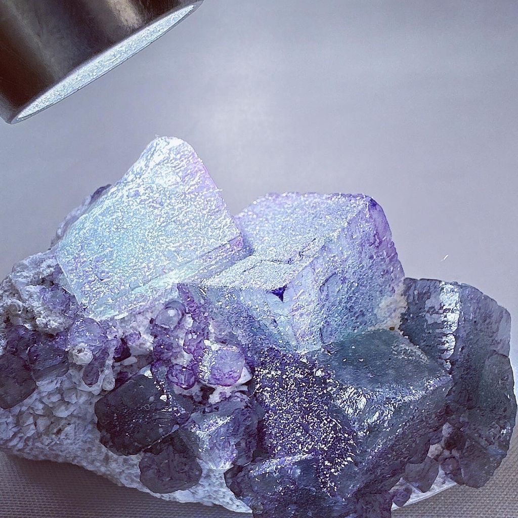 LINE_ALBUM_2024226 _1_240226_1