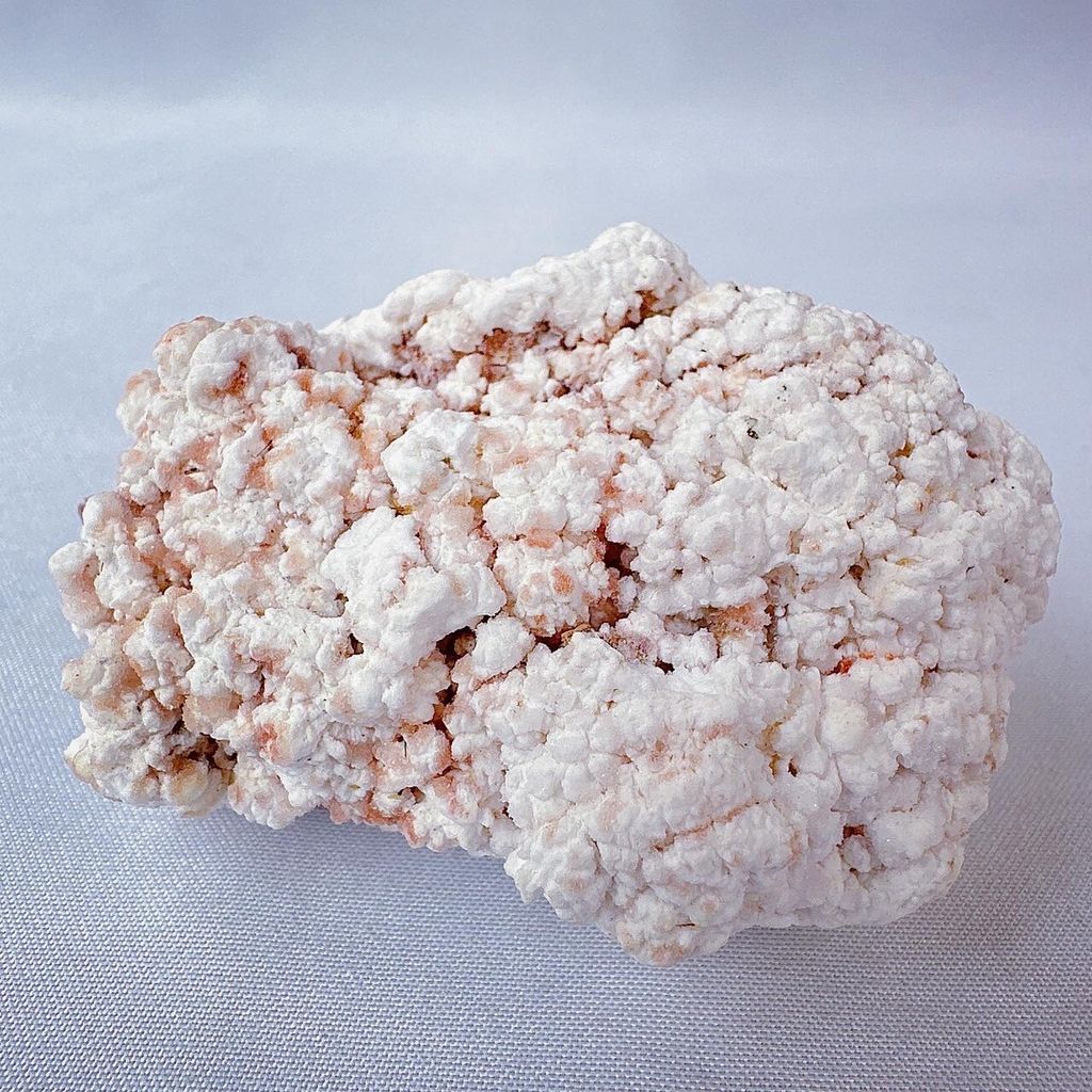 LINE_ALBUM_2024229_240229_13