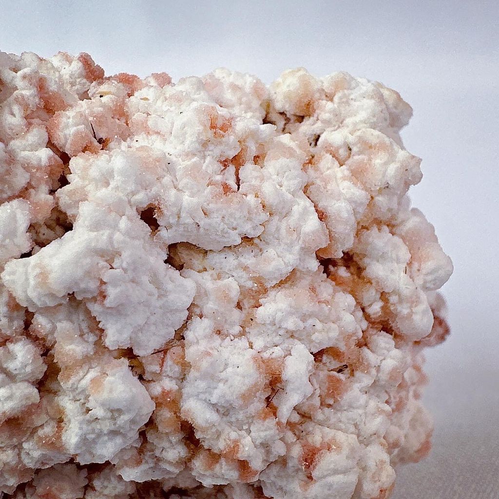 LINE_ALBUM_2024229_240229_12