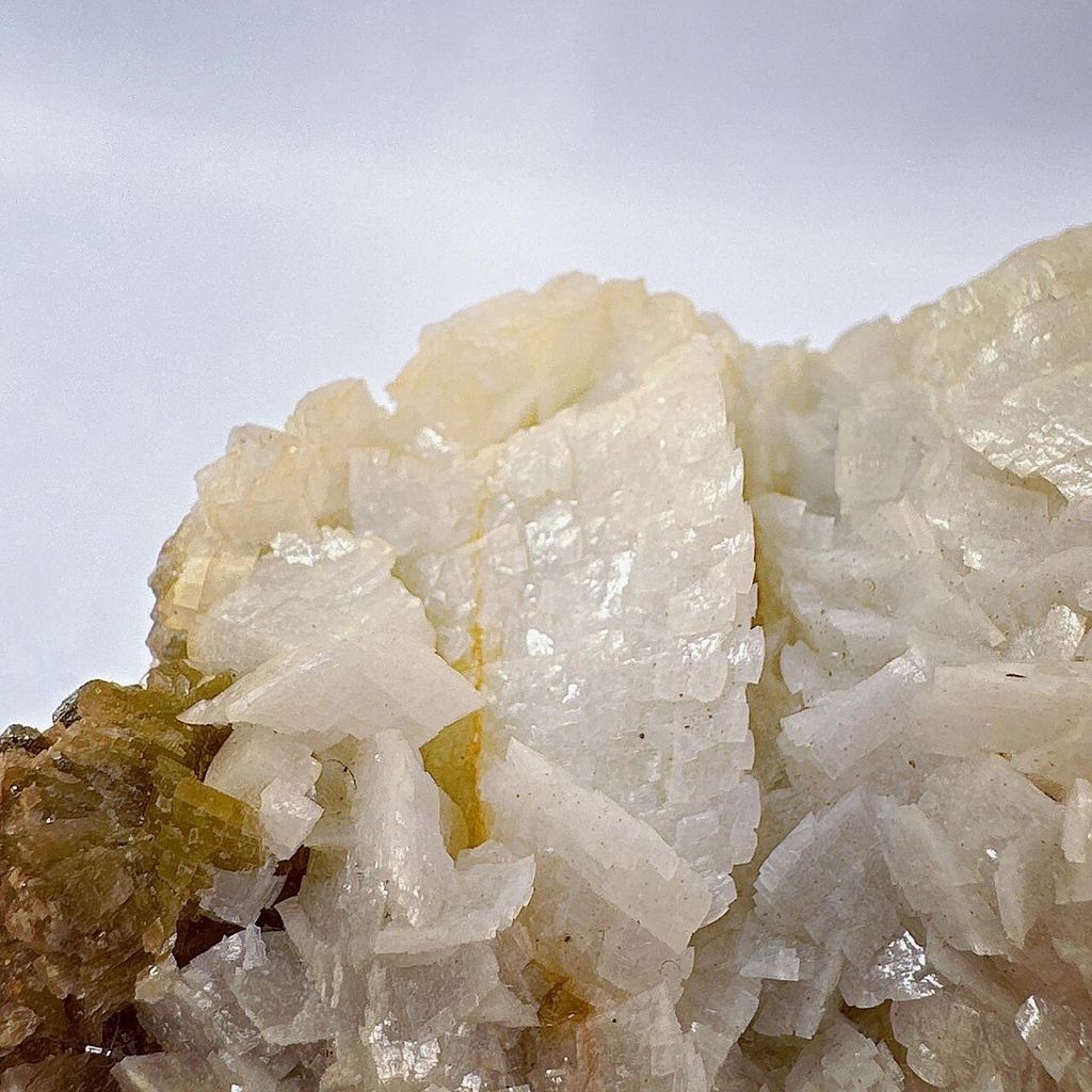 LINE_ALBUM_2024229_240229_8