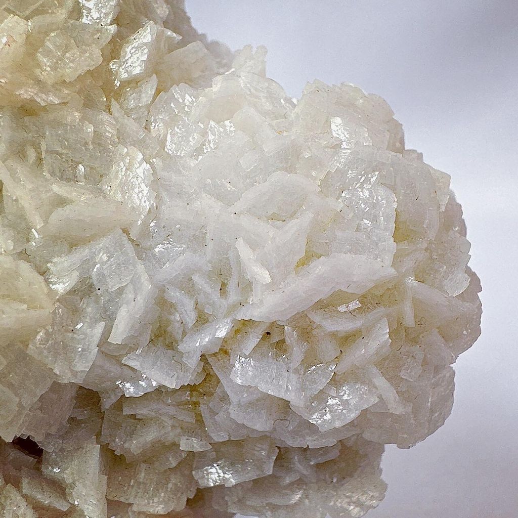 LINE_ALBUM_2024229_240229_7