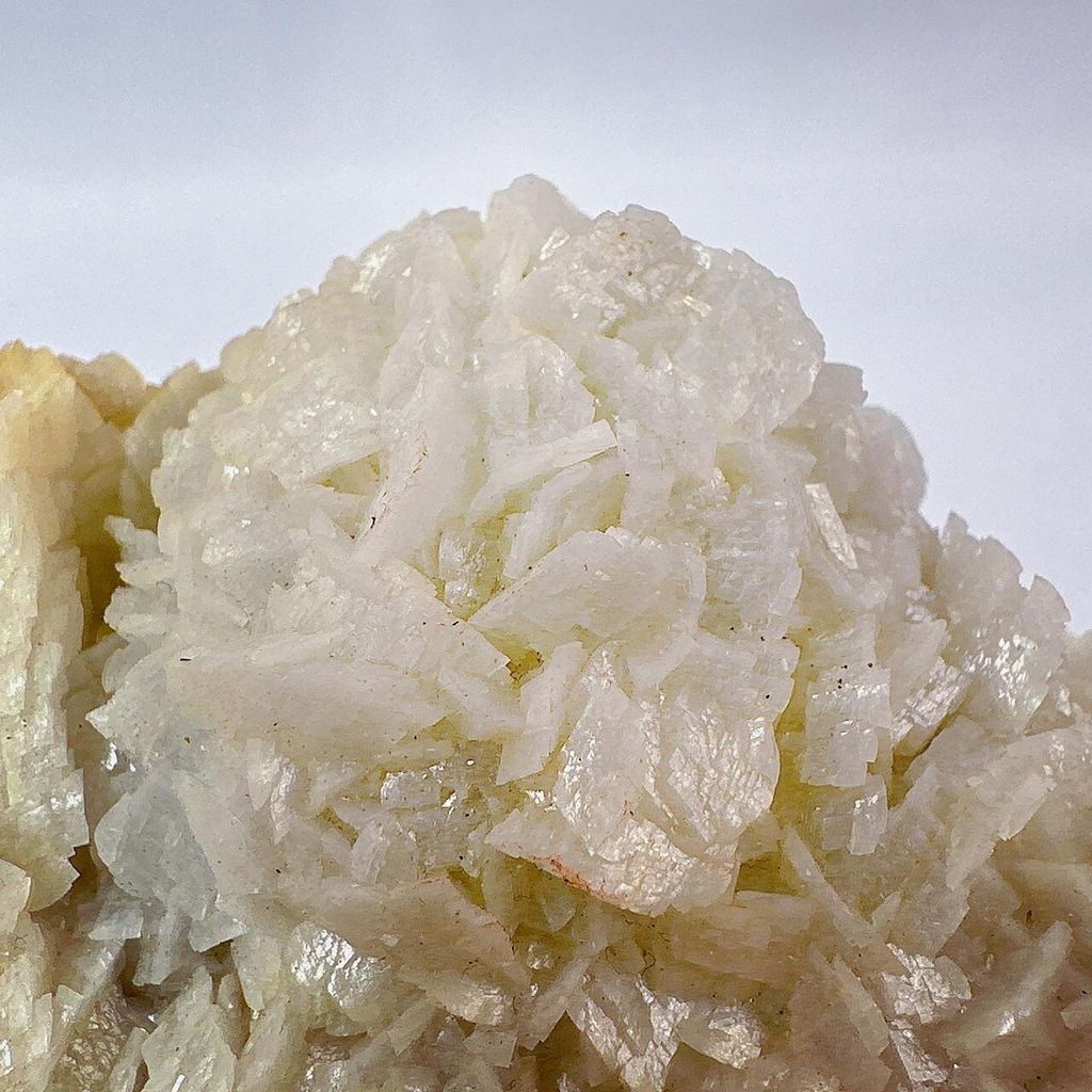 LINE_ALBUM_2024229_240229_6