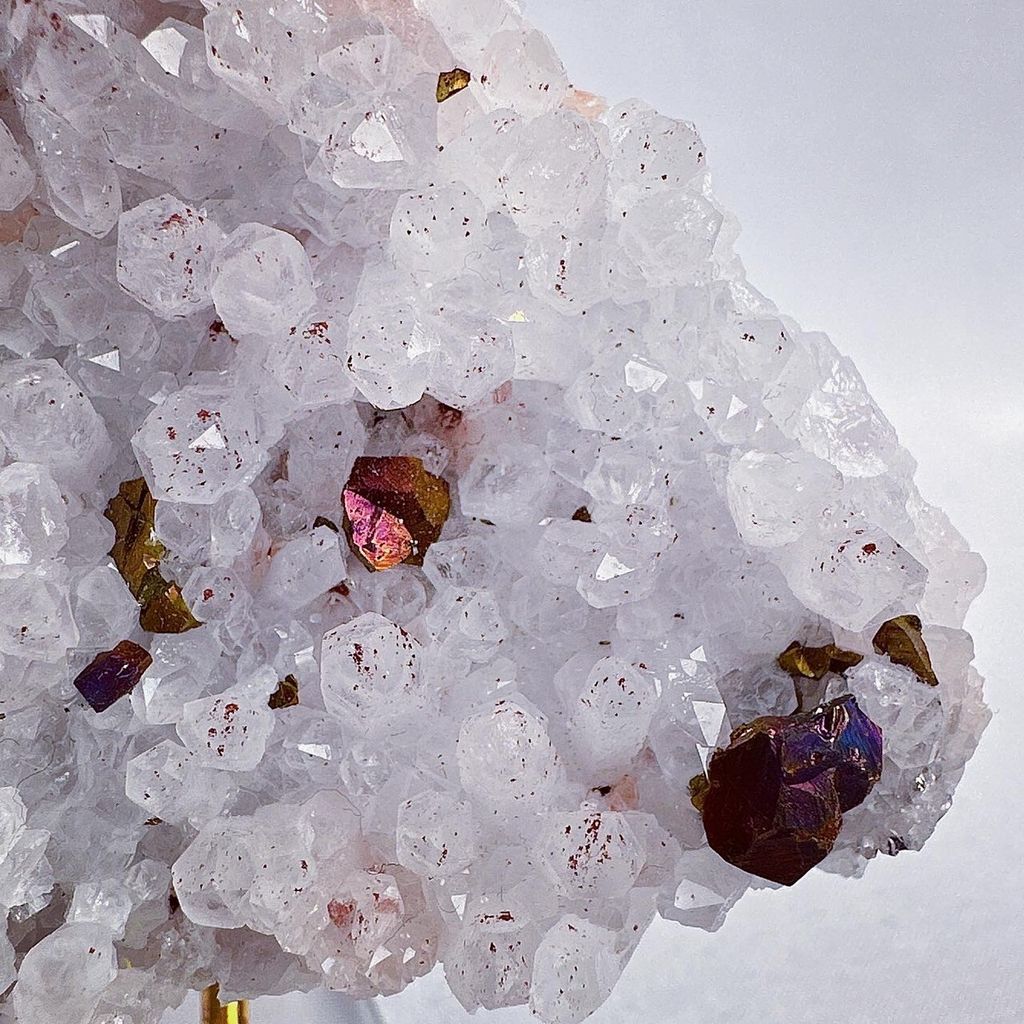 LINE_ALBUM_202431_240301_42