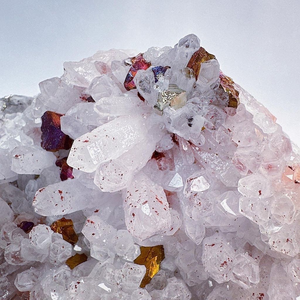 LINE_ALBUM_202431_240301_41