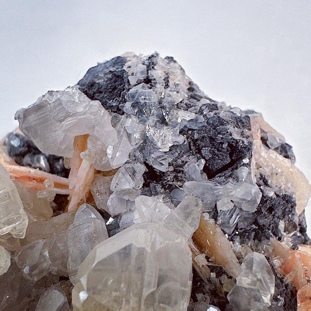 LINE_ALBUM_202431 _1_240301_19