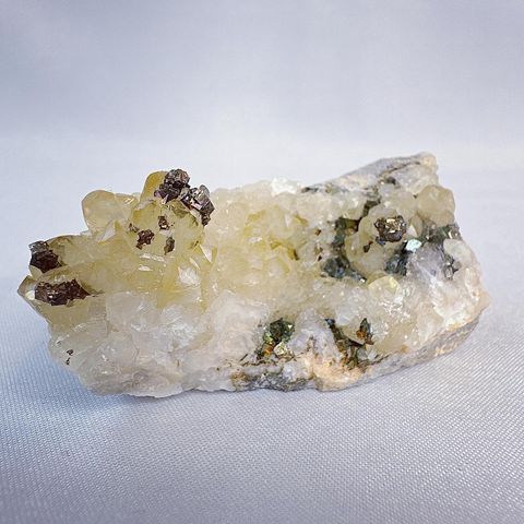 LINE_ALBUM_202431 _1_240301_25