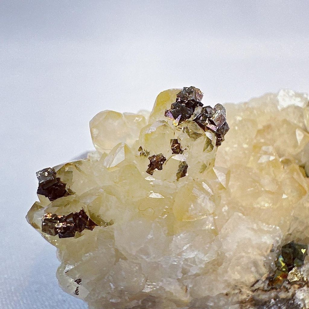 LINE_ALBUM_202431 _1_240301_22