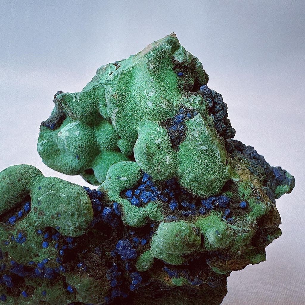 LINE_ALBUM_202431 _1_240301_1