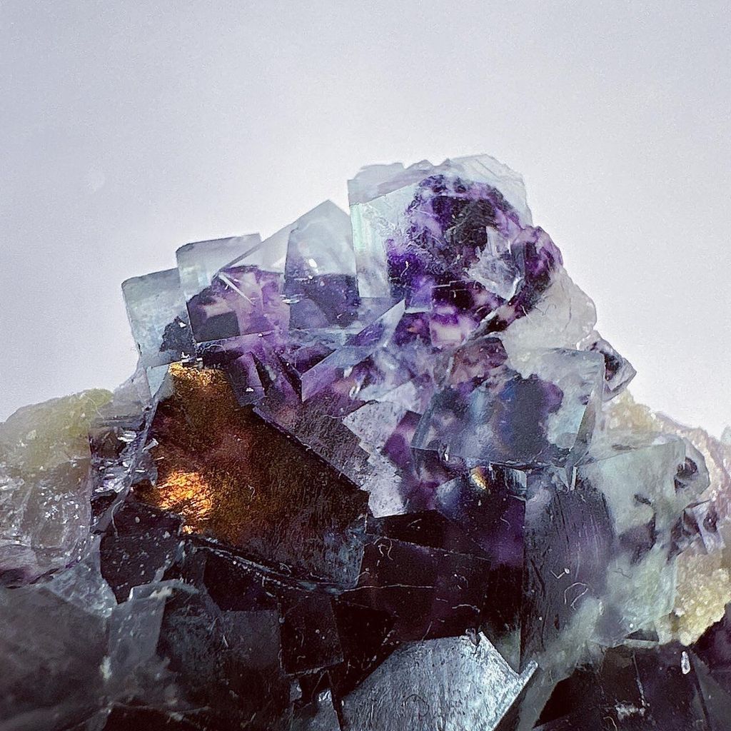 LINE_ALBUM_202434_240304_41