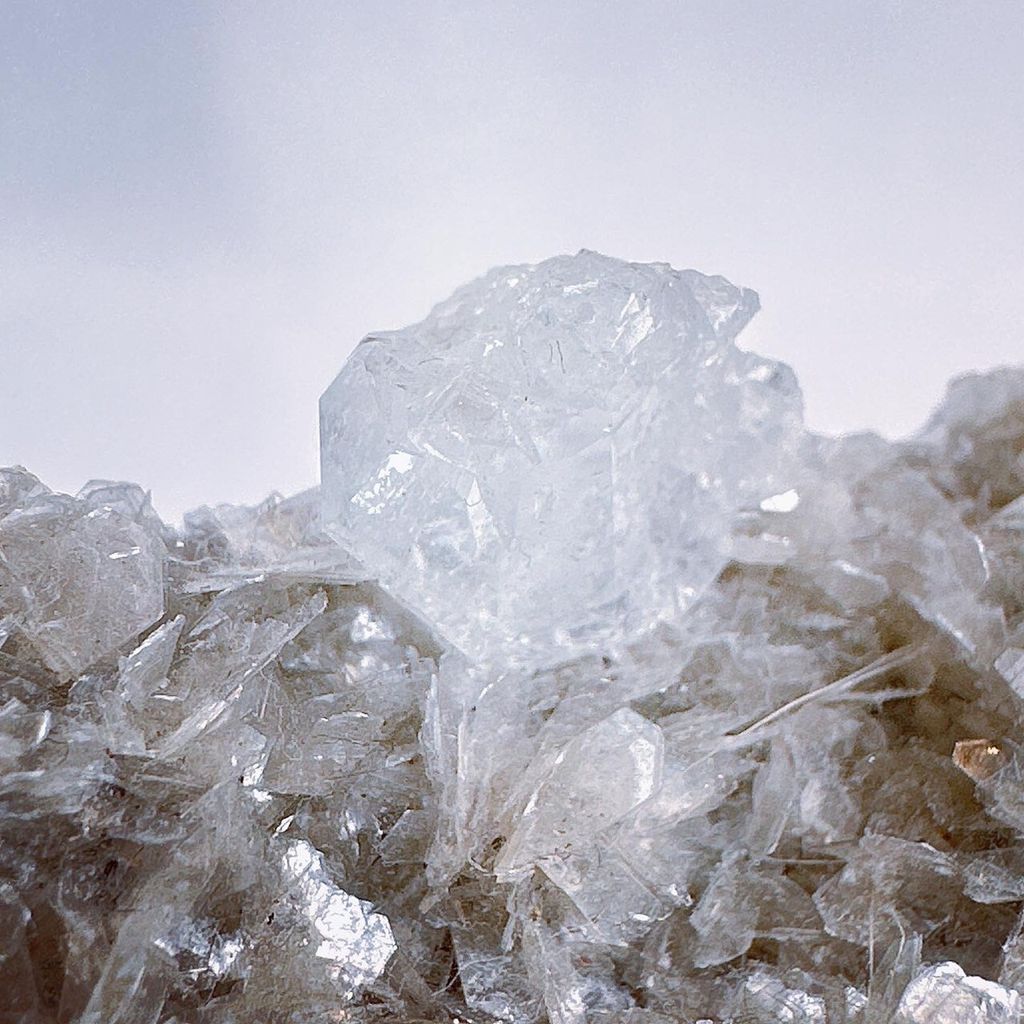 LINE_ALBUM_202435_240306_18