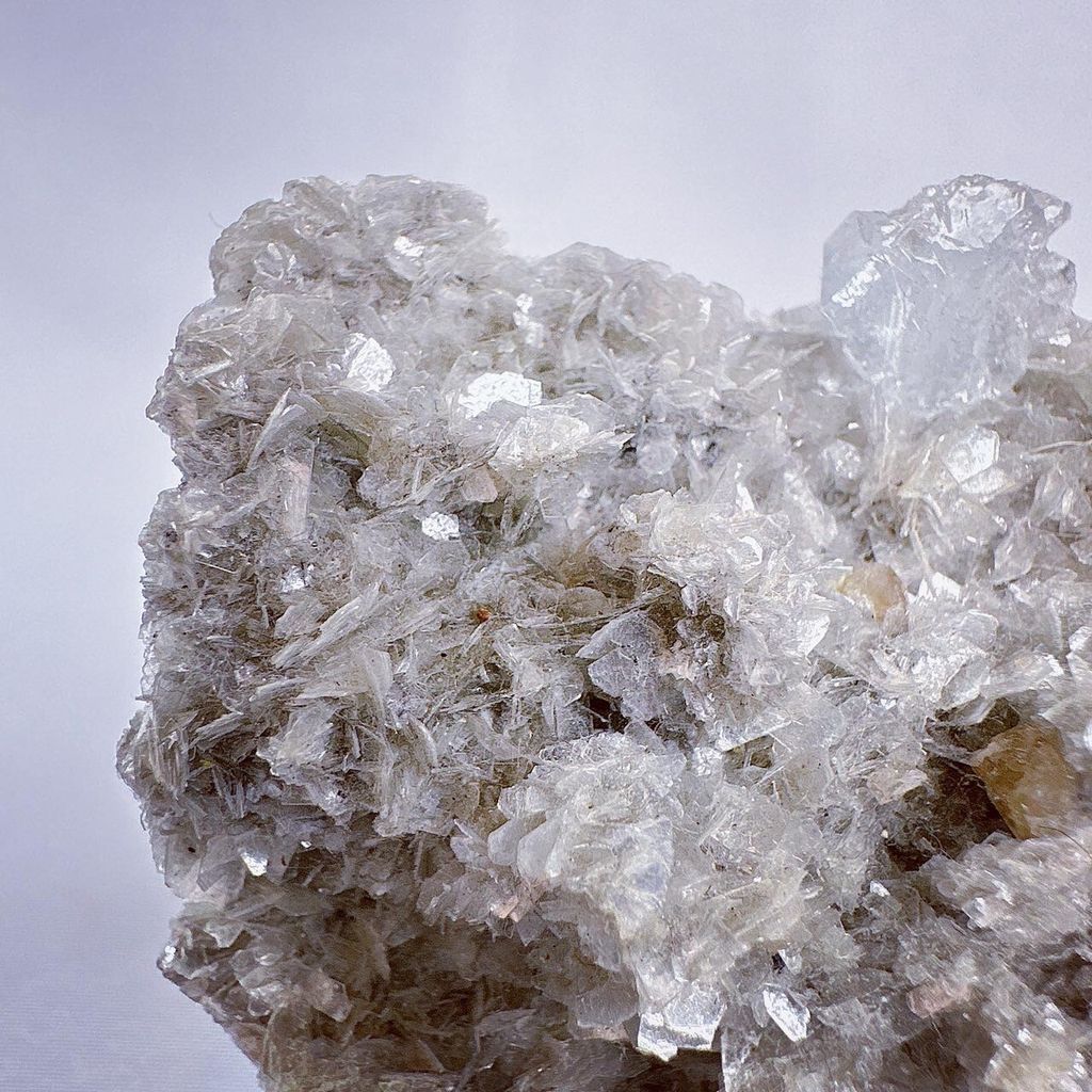 LINE_ALBUM_202435_240306_19