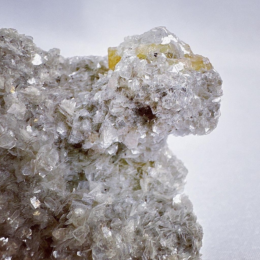 LINE_ALBUM_202435_240306_17