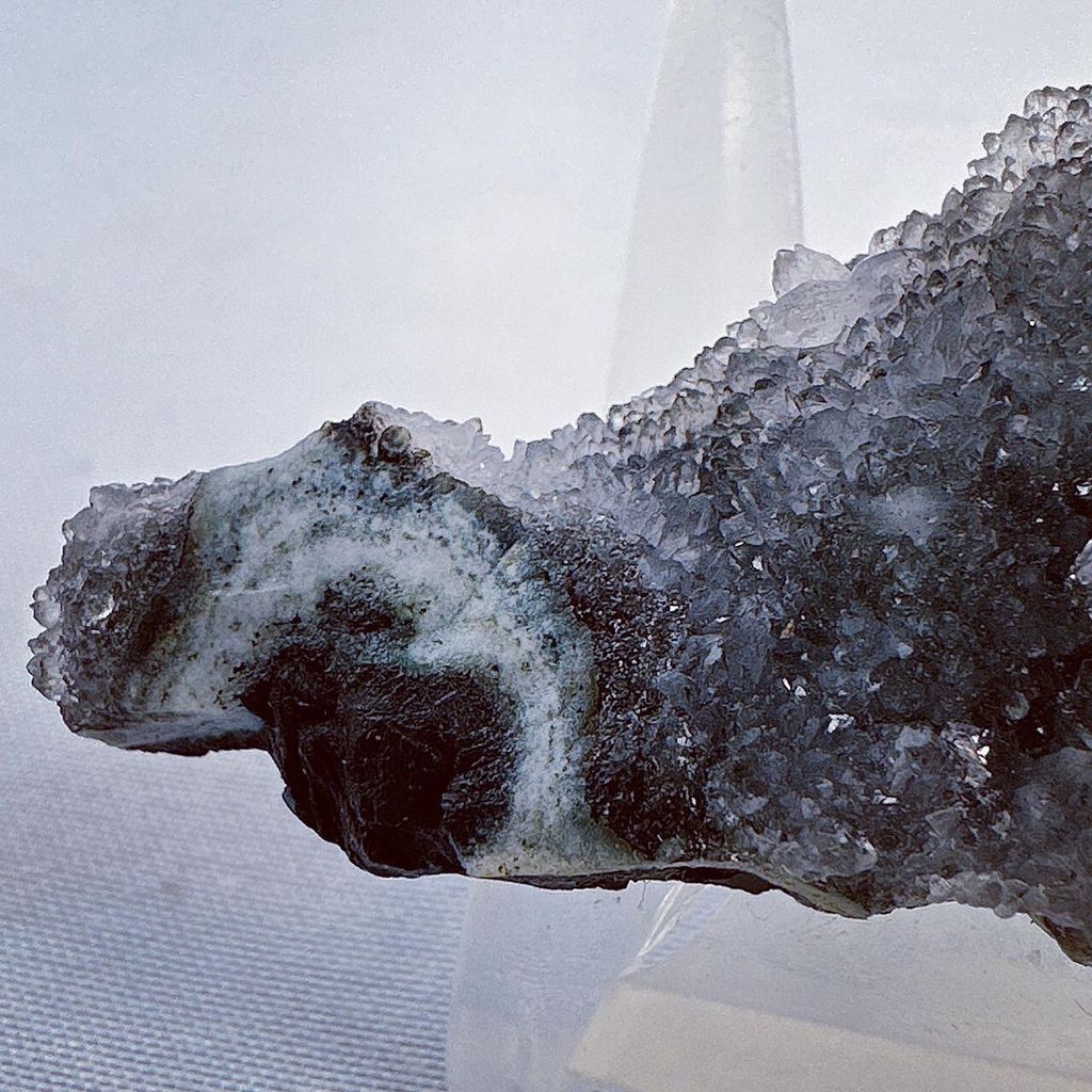 LINE_ALBUM_202435_240306_7