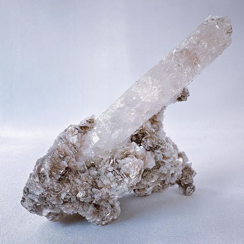 LINE_ALBUM_202437_240307_43