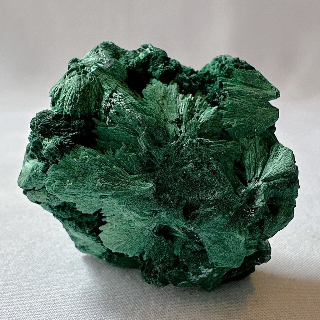 LINE_ALBUM_202438_240308_60