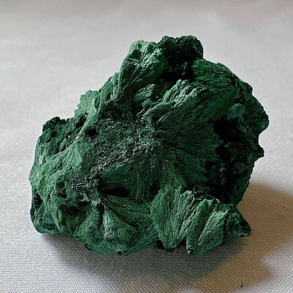 LINE_ALBUM_202438_240308_58