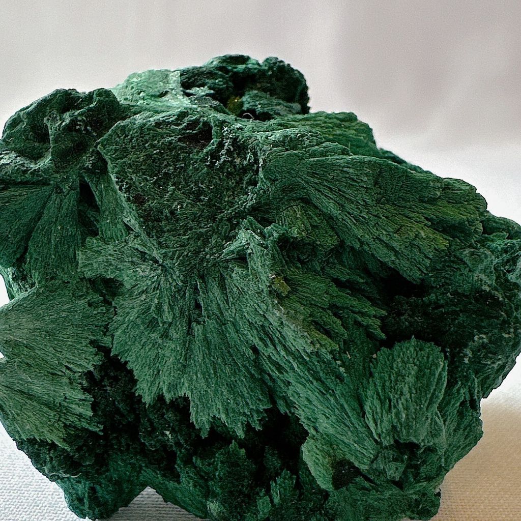 LINE_ALBUM_202438_240308_57