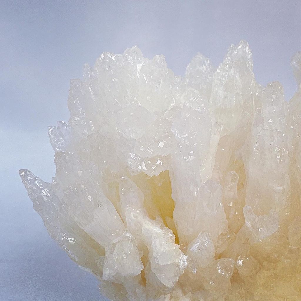 LINE_ALBUM_2024311_240311_56