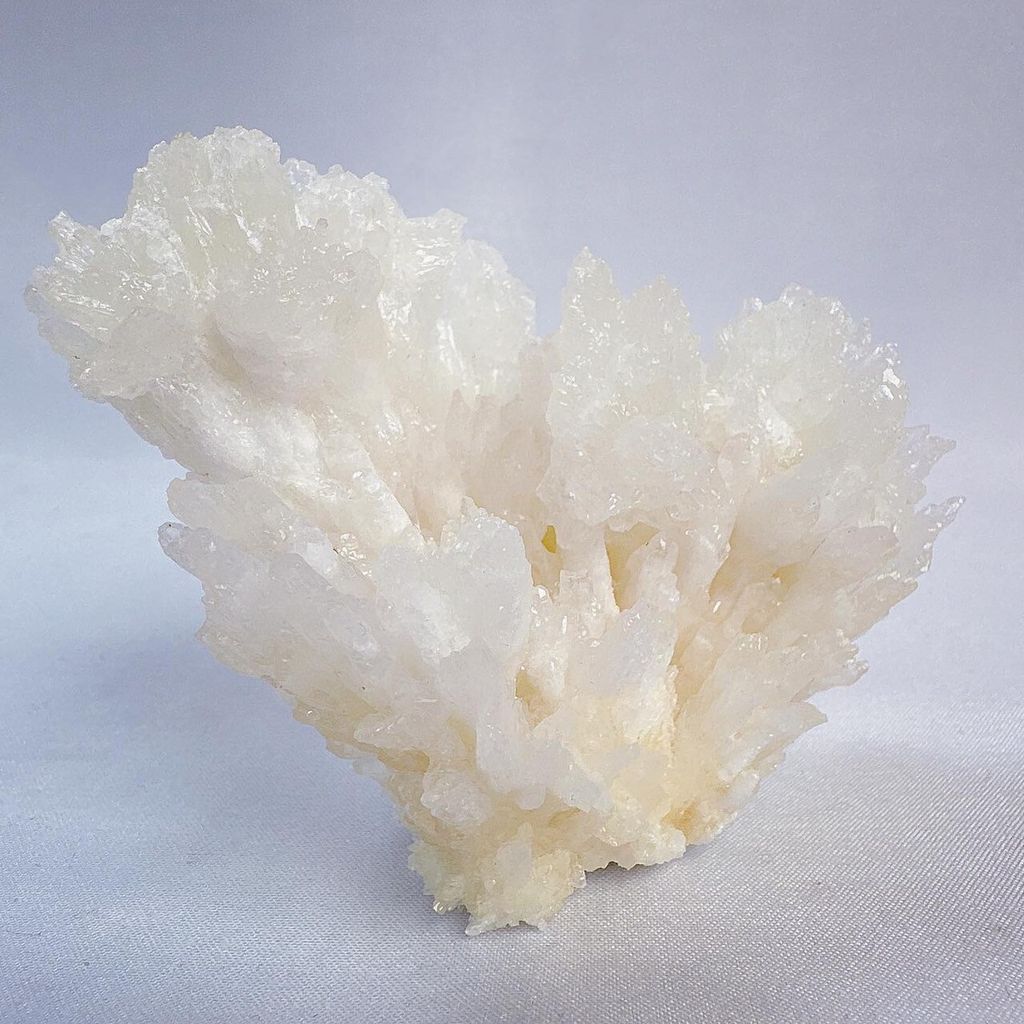 LINE_ALBUM_2024311_240311_59