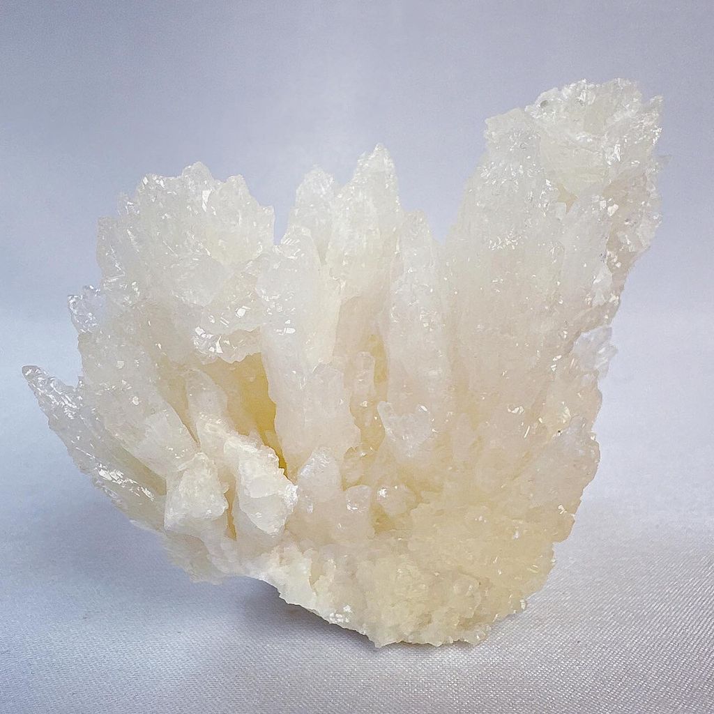 LINE_ALBUM_2024311_240311_58