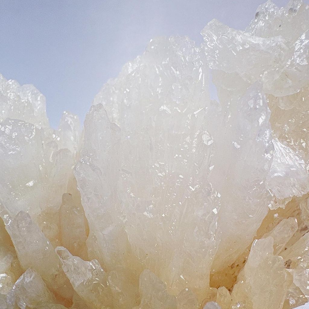 LINE_ALBUM_2024311_240311_57