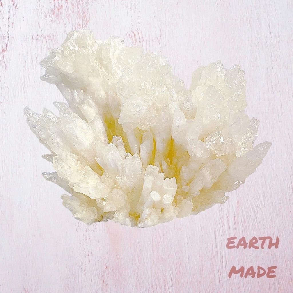 LINE_ALBUM_2024311_240311_60