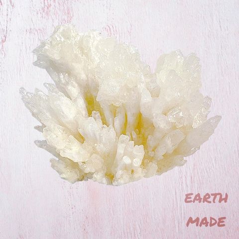 LINE_ALBUM_2024311_240311_60