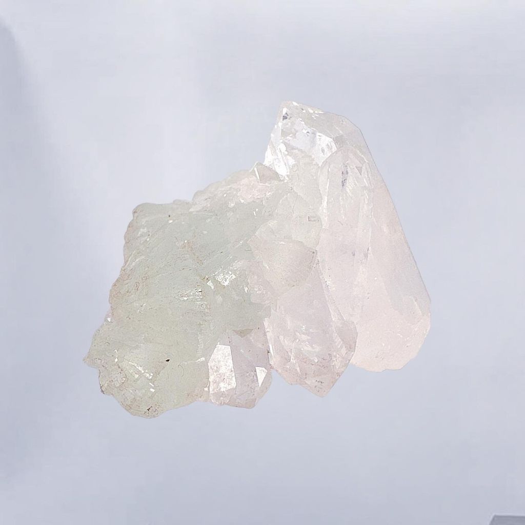 LINE_ALBUM_2024311_240311_13