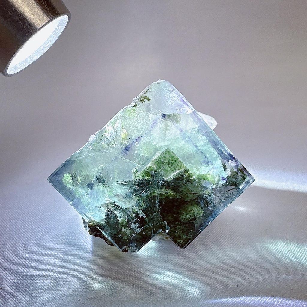 LINE_ALBUM_2024311_240311_29