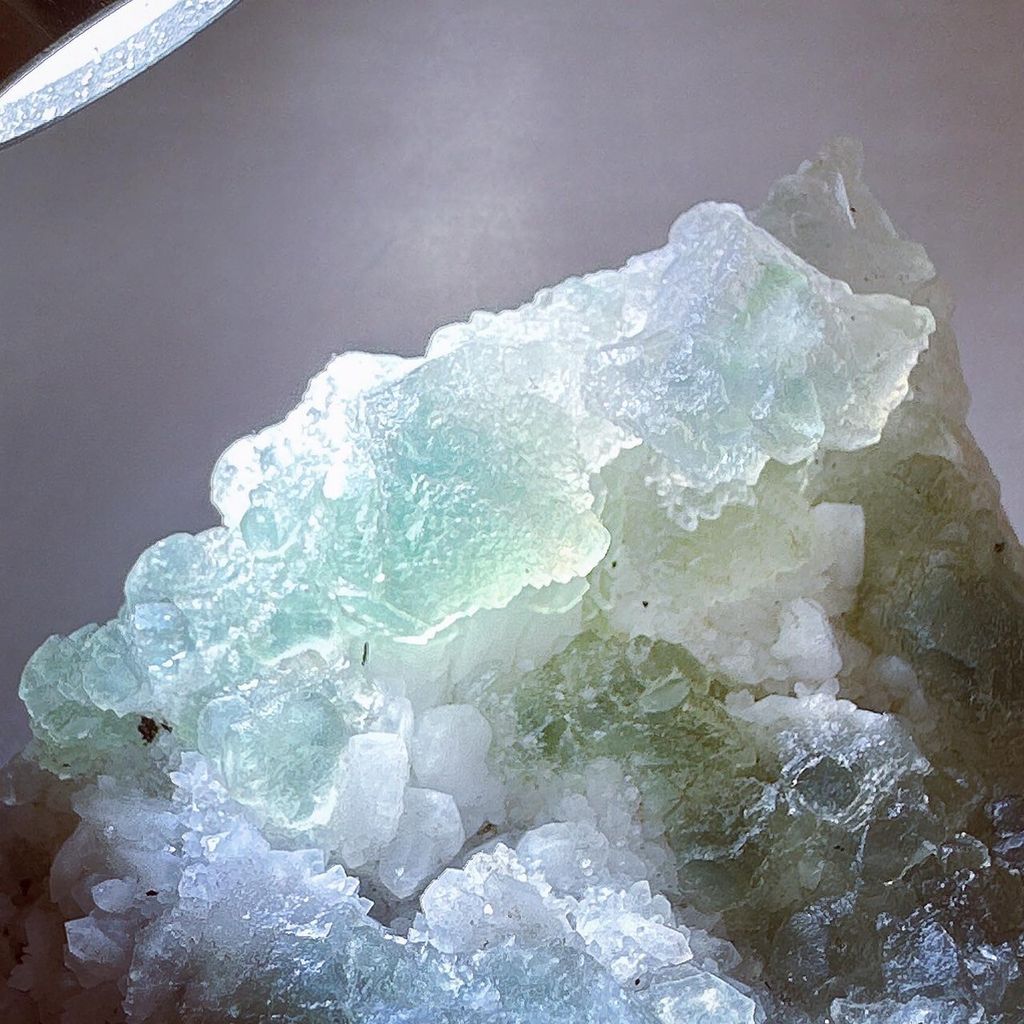 LINE_ALBUM_2024313_240313_30