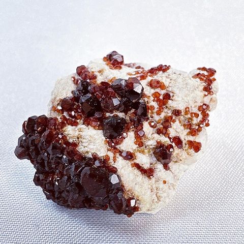 LINE_ALBUM_2024313_240313_19