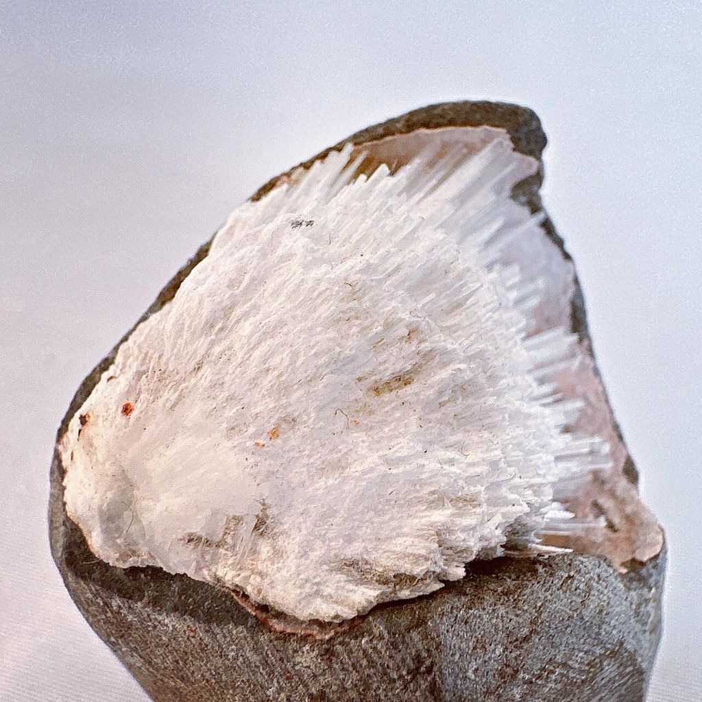 LINE_ALBUM_2024314_240314_16