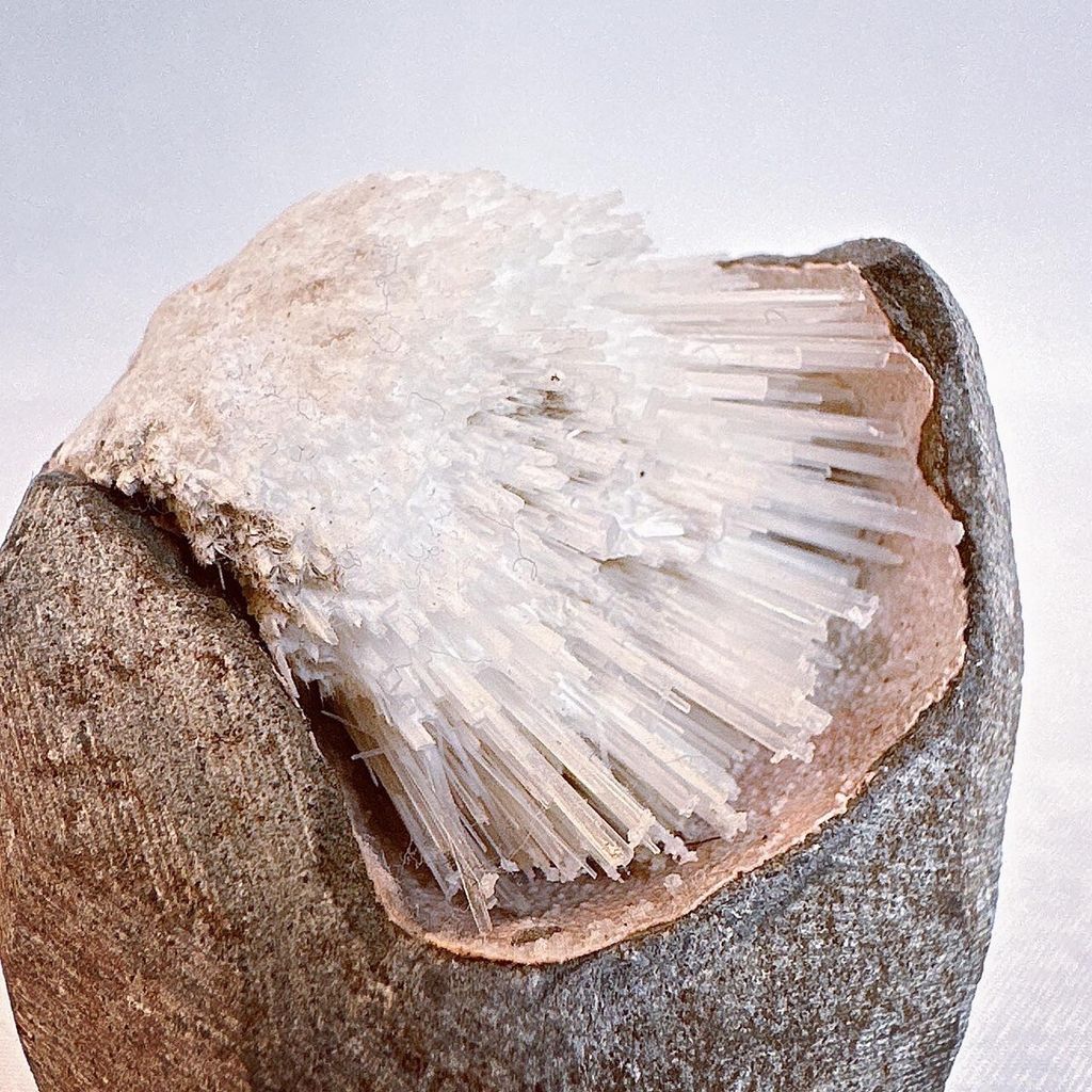 LINE_ALBUM_2024314_240314_17