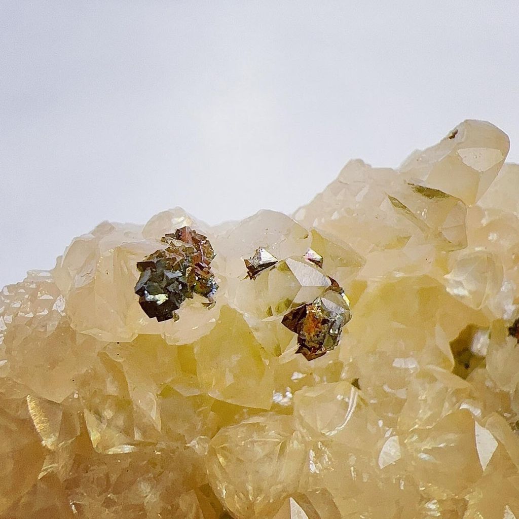 LINE_ALBUM_2024315_240315_22