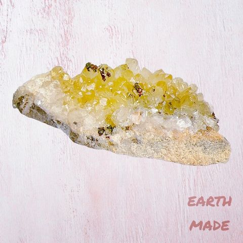 LINE_ALBUM_2024315_240315_26