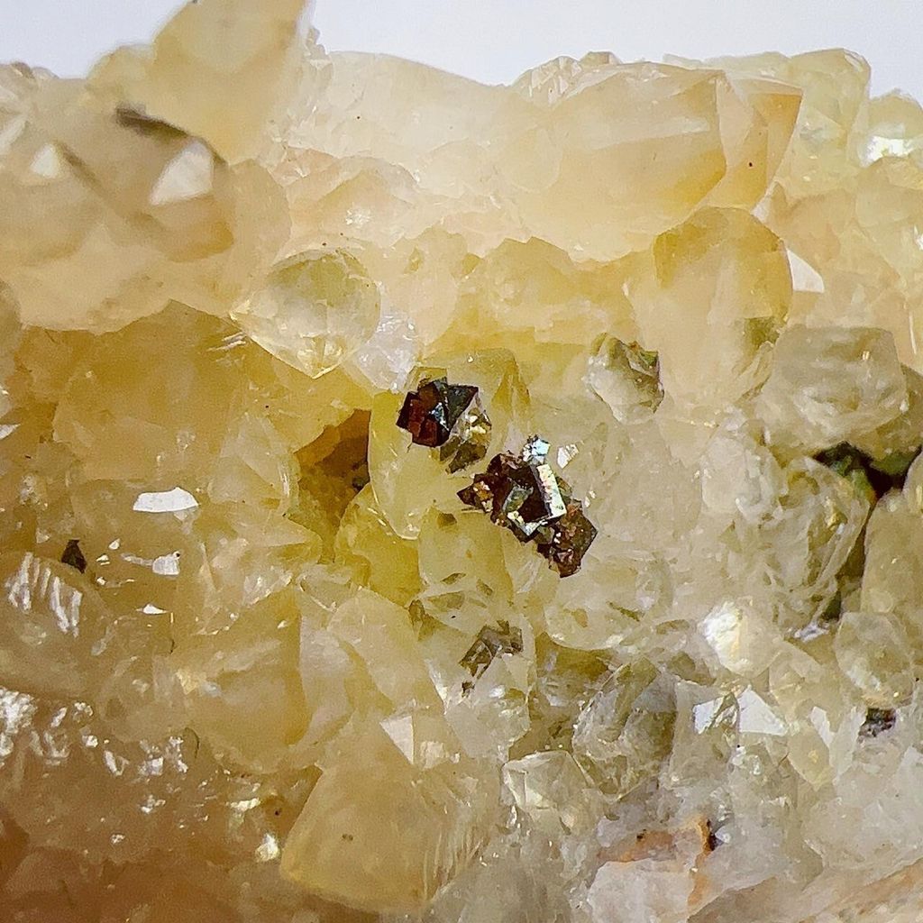 LINE_ALBUM_2024315_240315_23