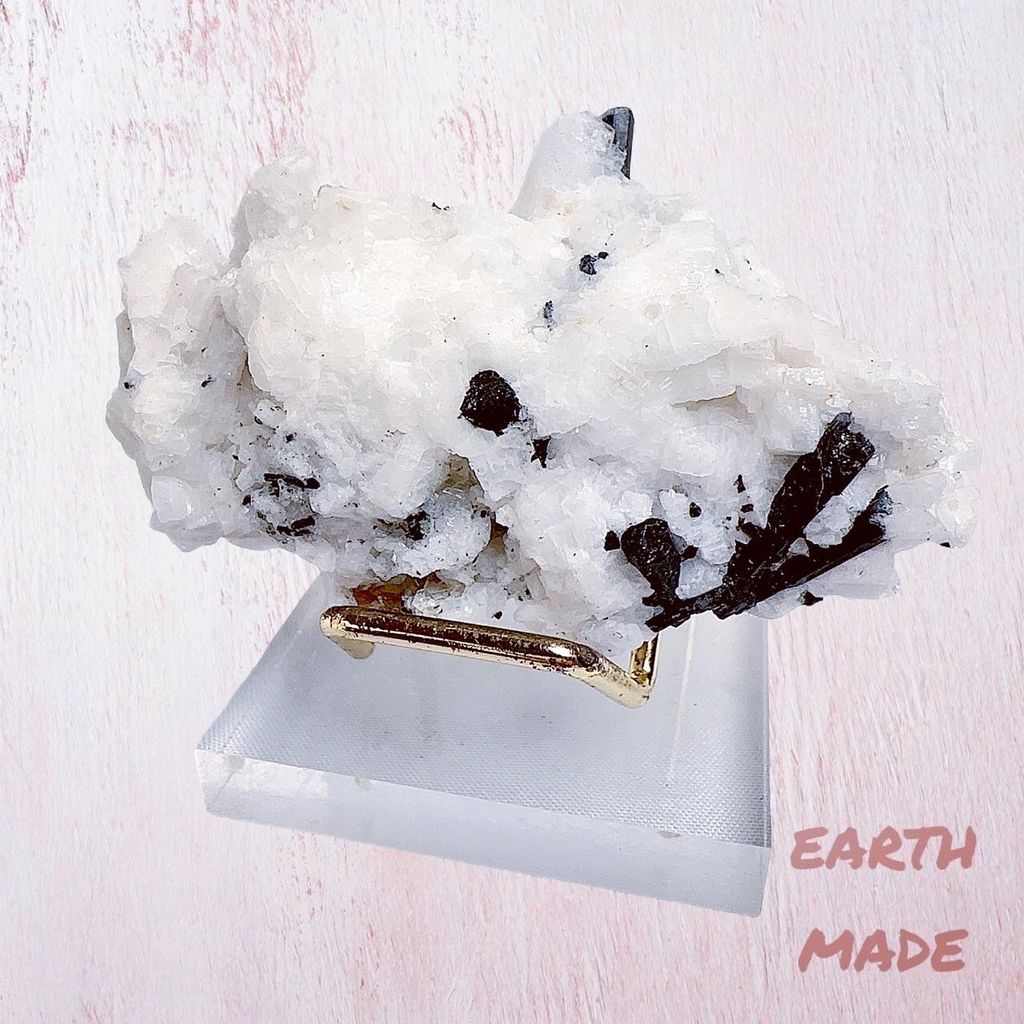 LINE_ALBUM_2024315_240315_5