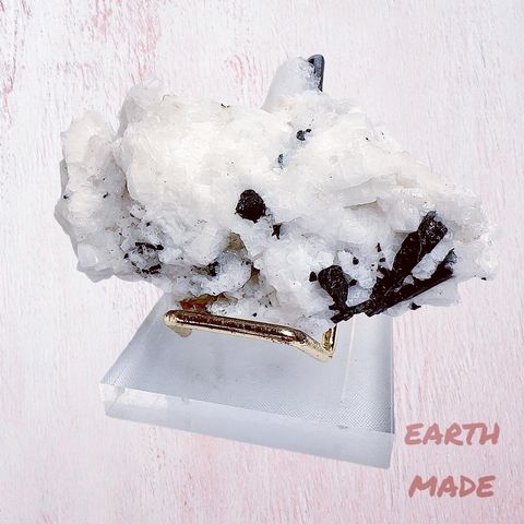 LINE_ALBUM_2024315_240315_5