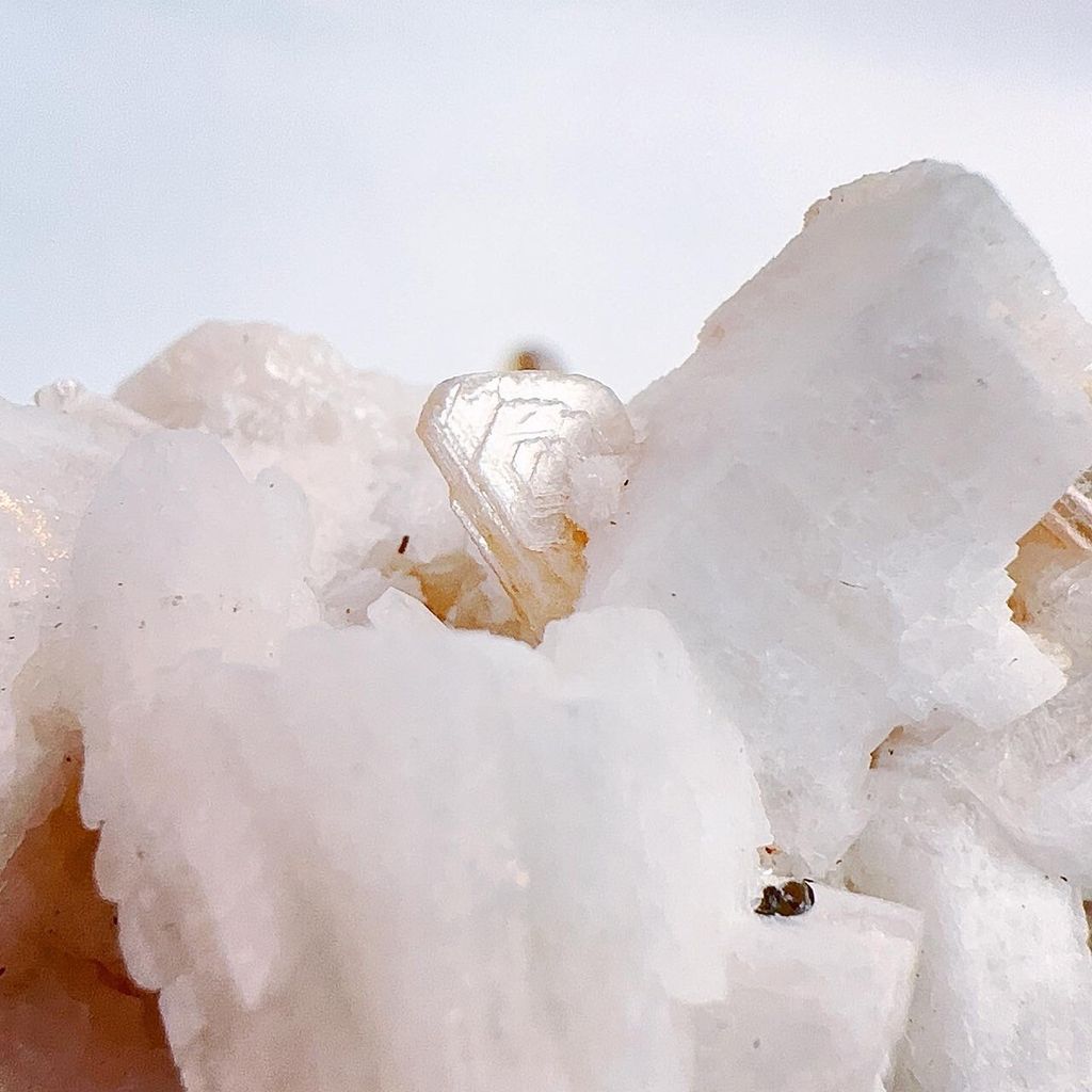 LINE_ALBUM_2024315_240315_1