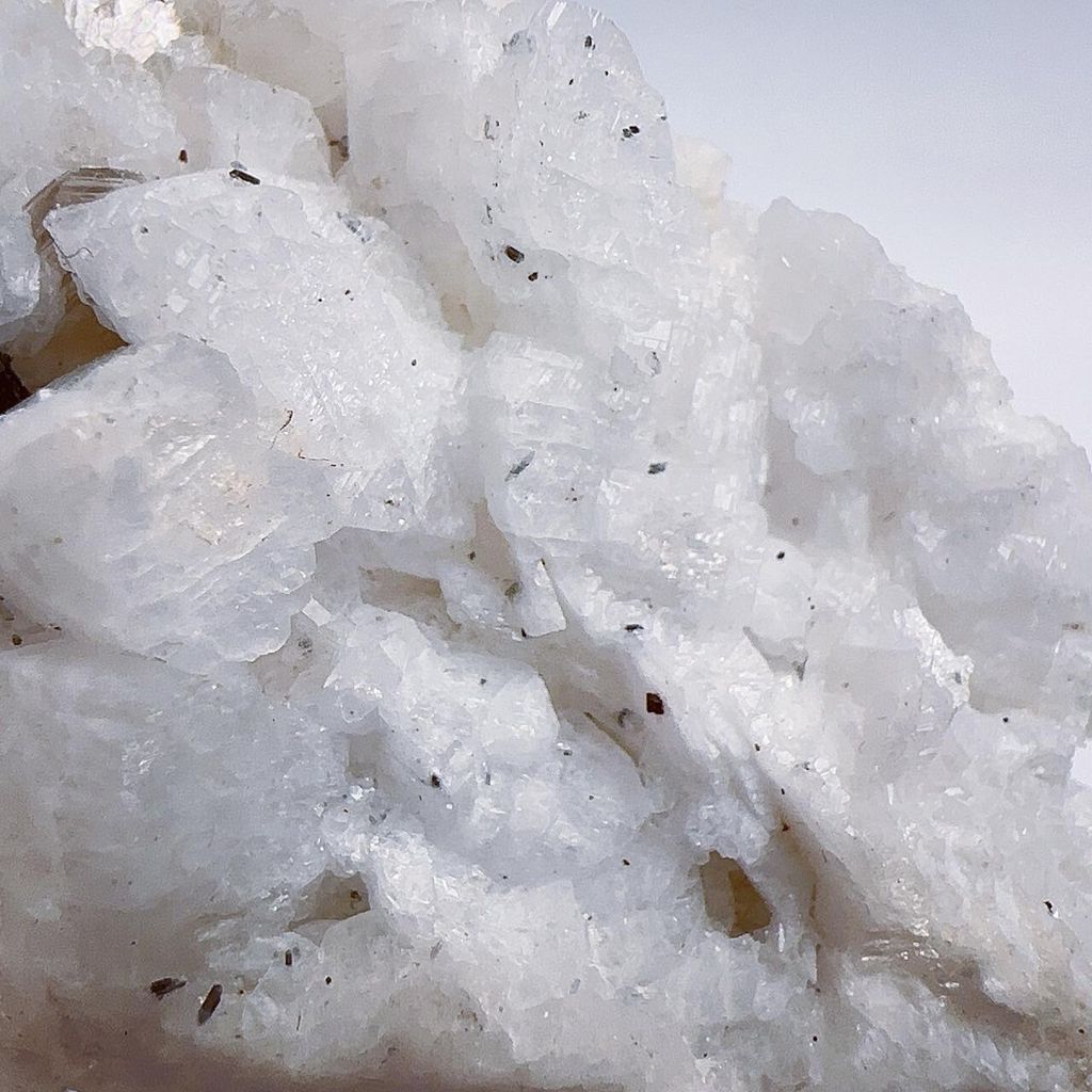 LINE_ALBUM_2024315_240315_3